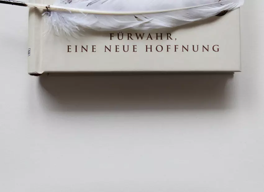 Bild 0 des Buchs «»