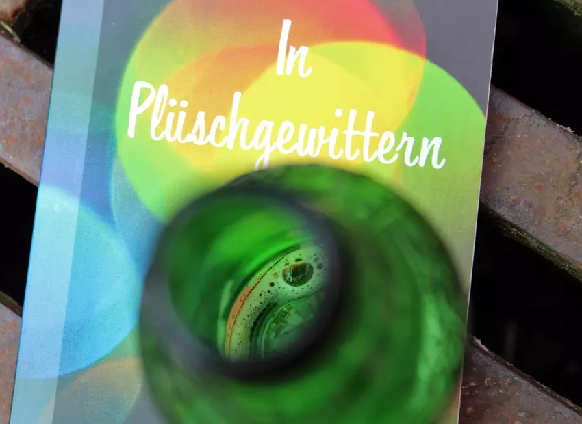Bild 0 des Buchs «»