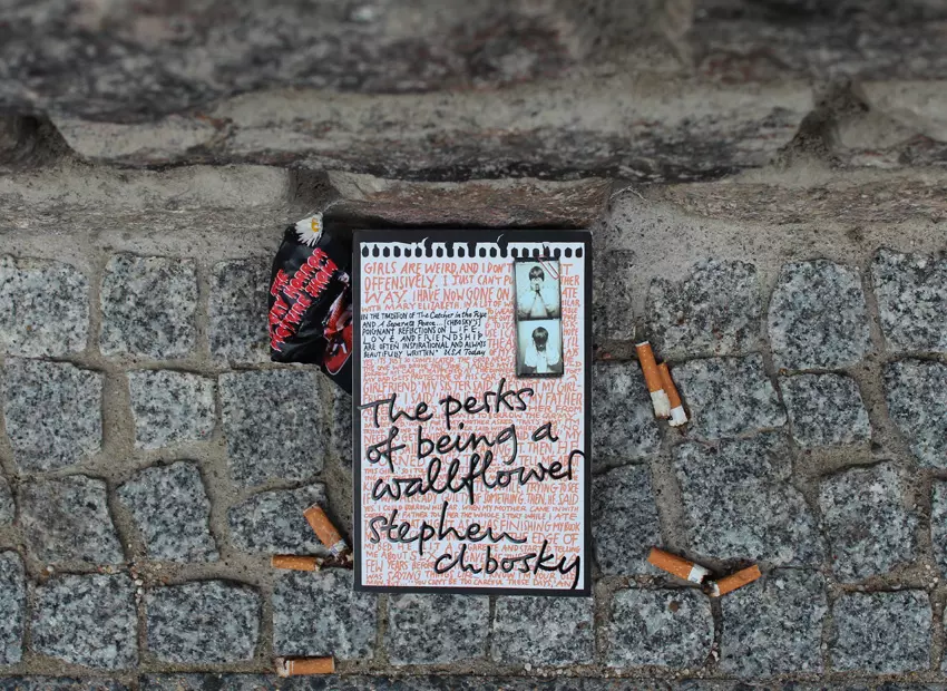 Galerie zum Buch «The Perks of Being a Wallflower»