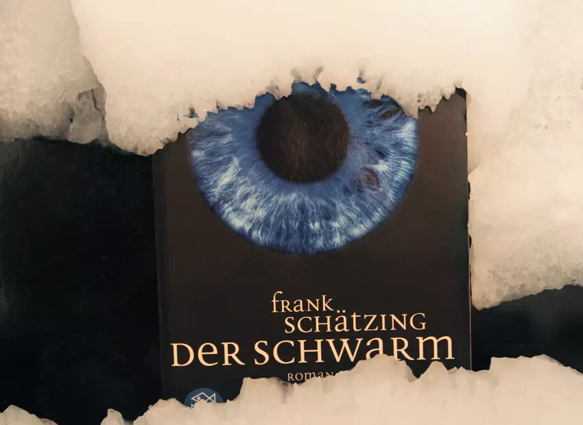 Galerie zum Buch «Der Schwarm»