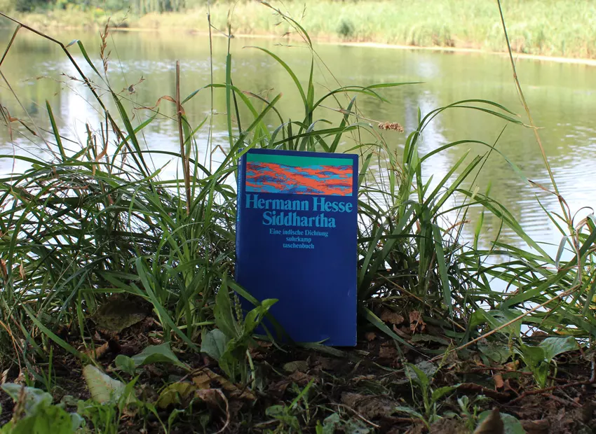 Galerie zum Buch «Siddhartha»