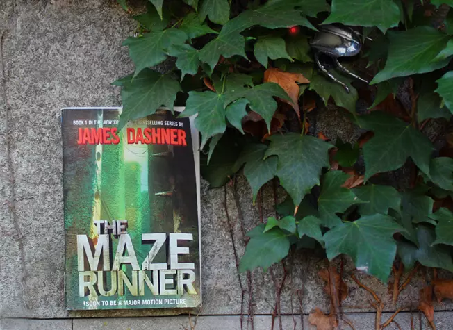 The Maze Runner